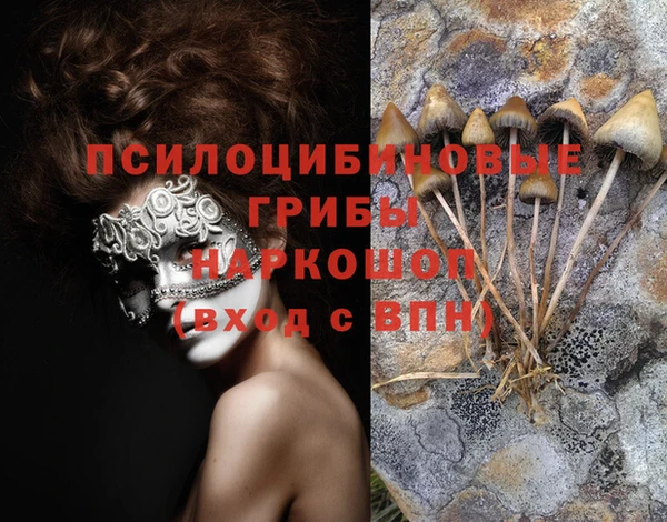 эйфоретик Зуевка