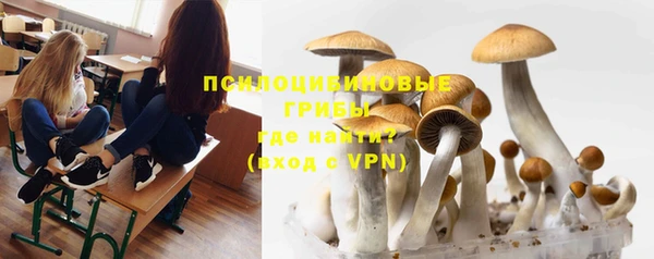 mdpv Липки