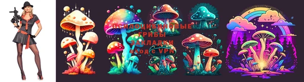 спайс Верея