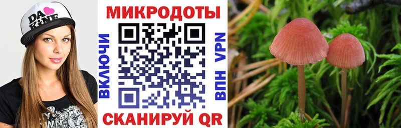 Галлюциногенные грибы GOLDEN TEACHER  купить   Мариинск 