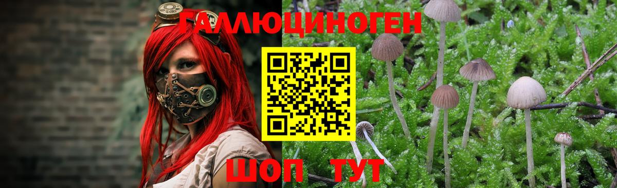 Галлюциногенные грибы мухоморы Мариинск
